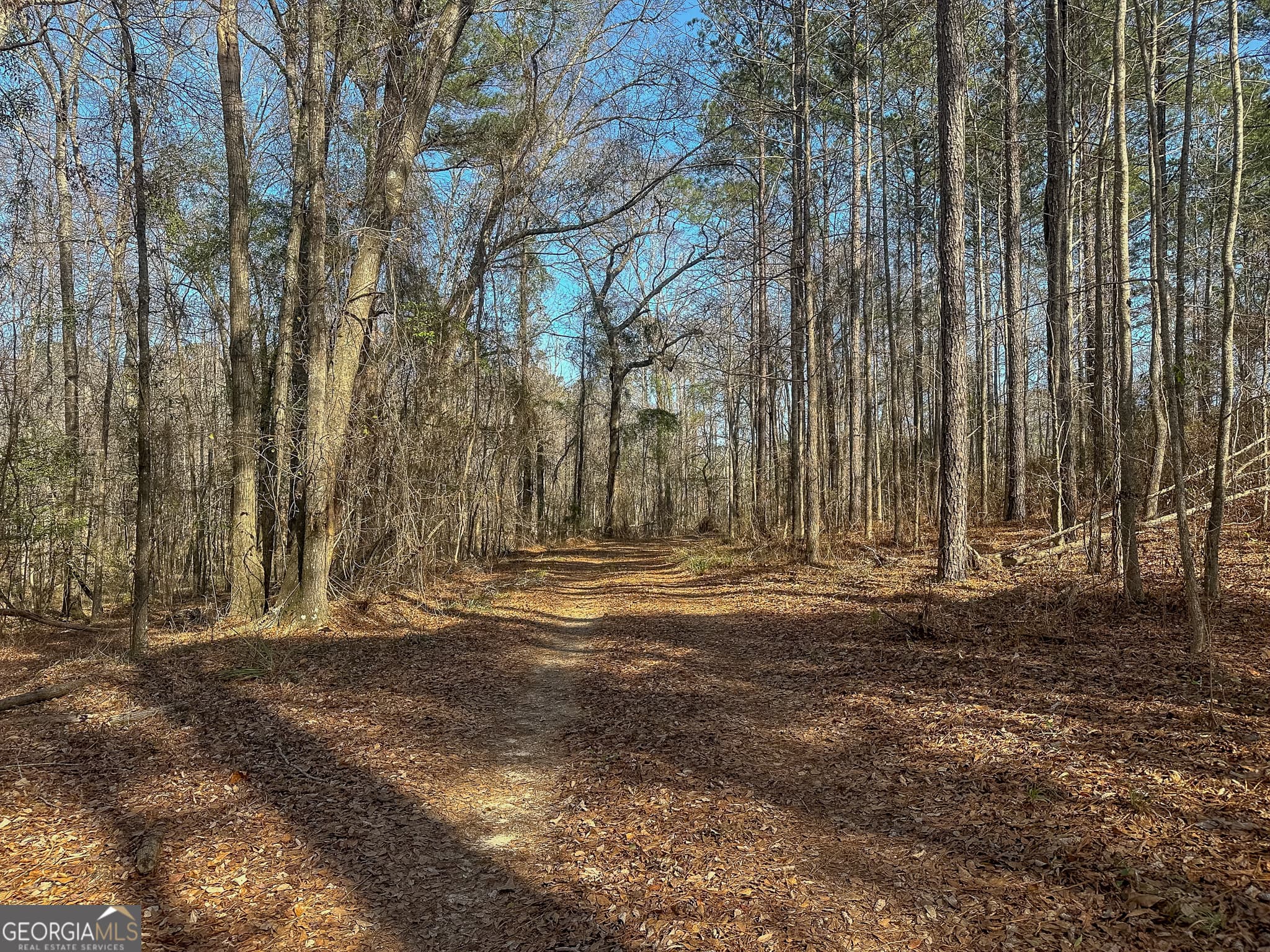 agriculture for sale at 1298 Days Avenue, Morris, GA 39867 — photo 5