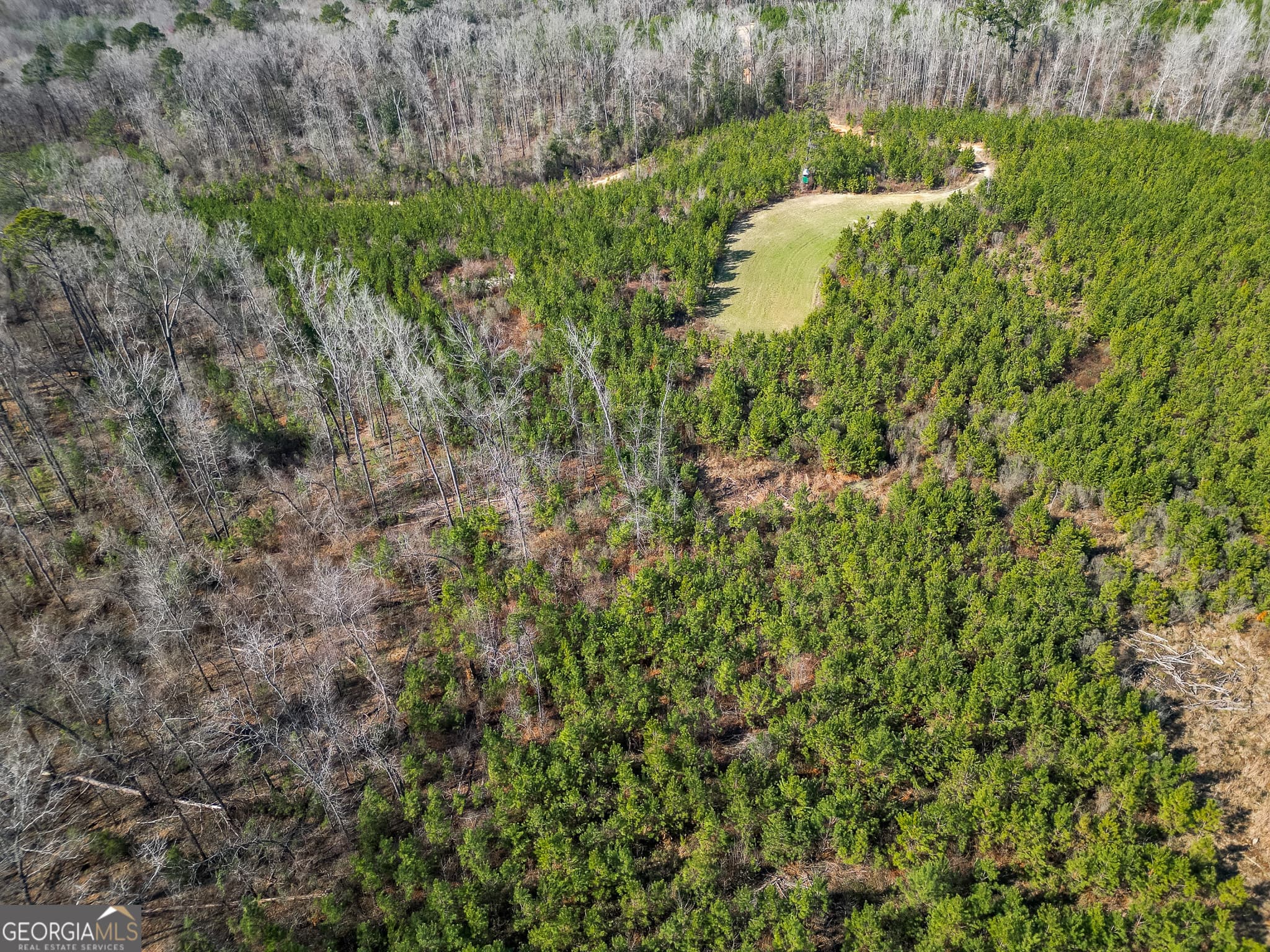 agriculture for sale at 1298 Days Avenue, Morris, GA 39867 — photo 9