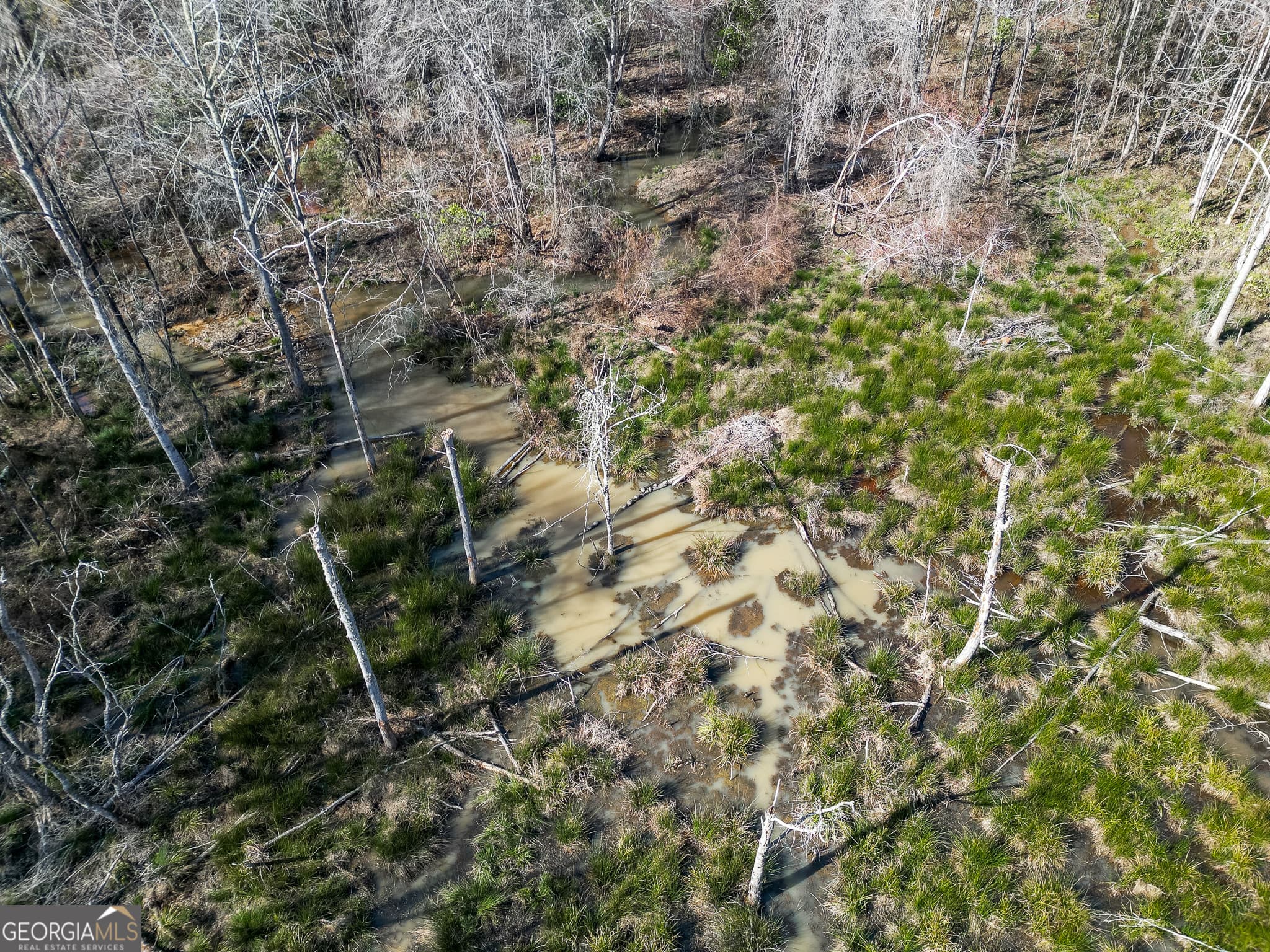 agriculture for sale at 1298 Days Avenue, Morris, GA 39867 — photo 10