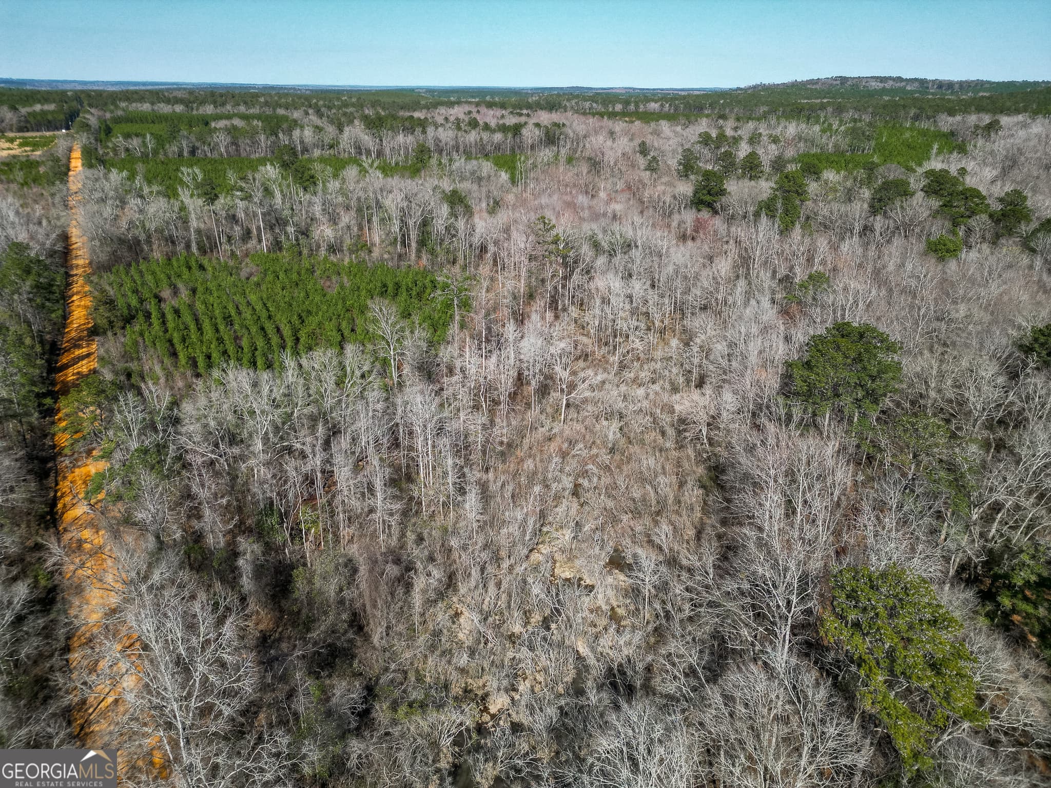 agriculture for sale at 1298 Days Avenue, Morris, GA 39867 — photo 4