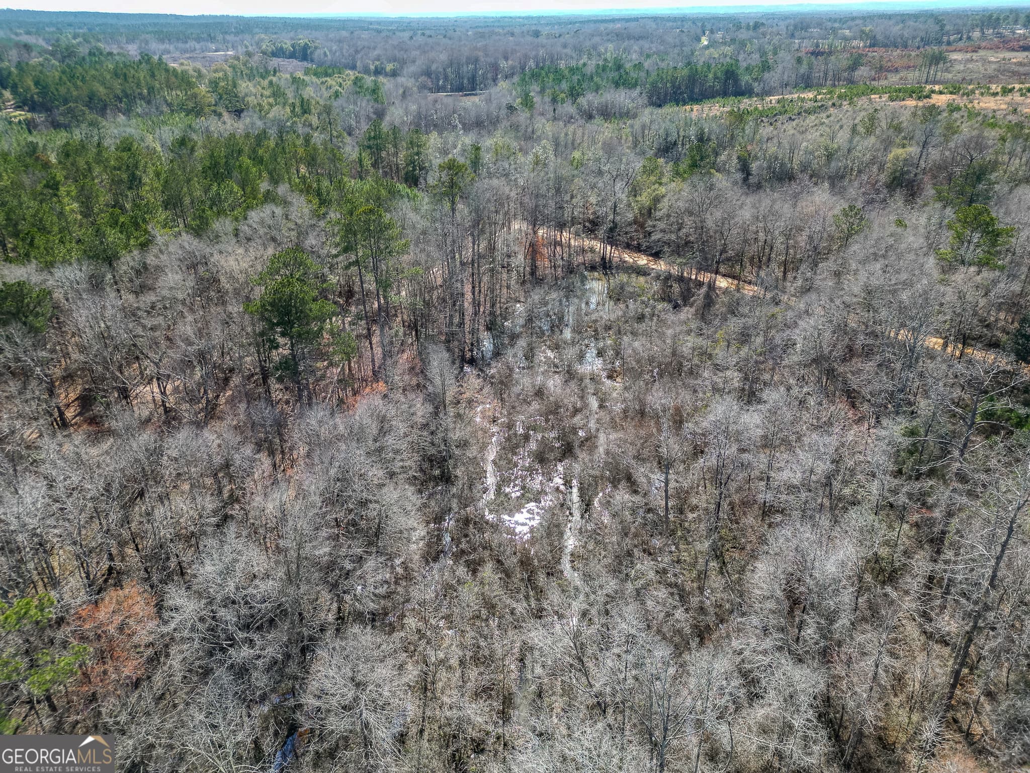agriculture for sale at 1298 Days Avenue, Morris, GA 39867 — photo 8