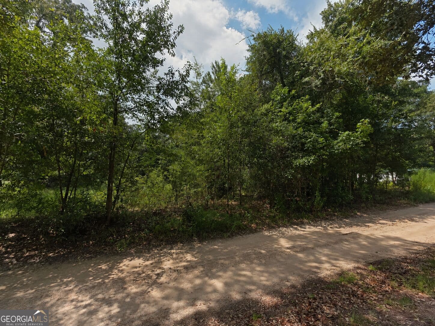unimproved land for sale at 0 Second Avenue, Waynesville, GA 31566 — photo 2