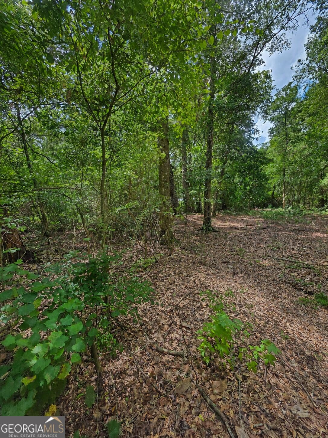 unimproved land for sale at 0 Second Avenue, Waynesville, GA 31566 — photo 3