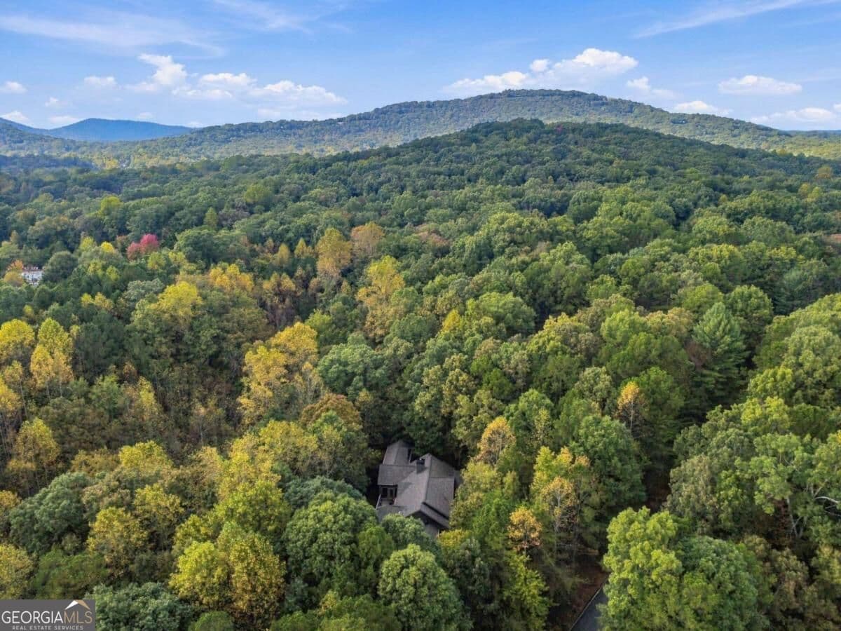 4 bedroom, 3.5 bathroom single family residence for sale at 68 Cherokee Point, Big Canoe, GA 30143 — photo 4