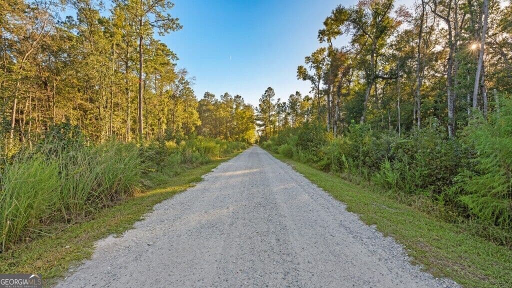 agriculture for sale at 991 Flatwoods Trail, Glennville, GA 30427 — photo 9