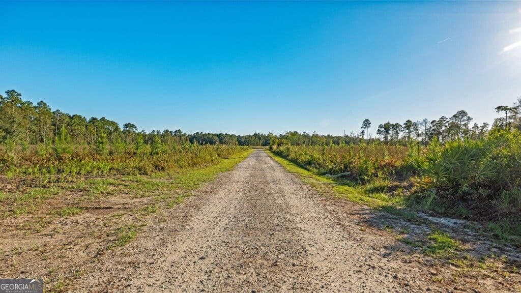 agriculture for sale at 991 Flatwoods Trail, Glennville, GA 30427 — photo 8