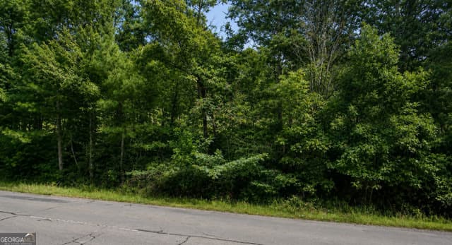 residential lot for sale at LOT 38 Shattuck Industrial Boulevard, Lafayette, GA 30728 — photo 3