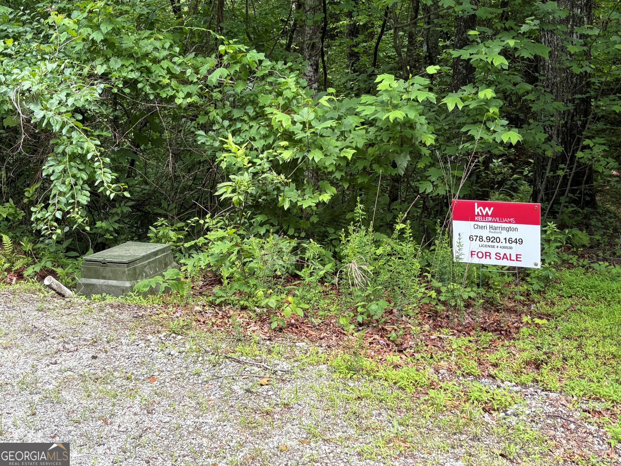 unimproved land for sale at 0 Alto Lane, Rabun Gap, GA 30568 — photo 2