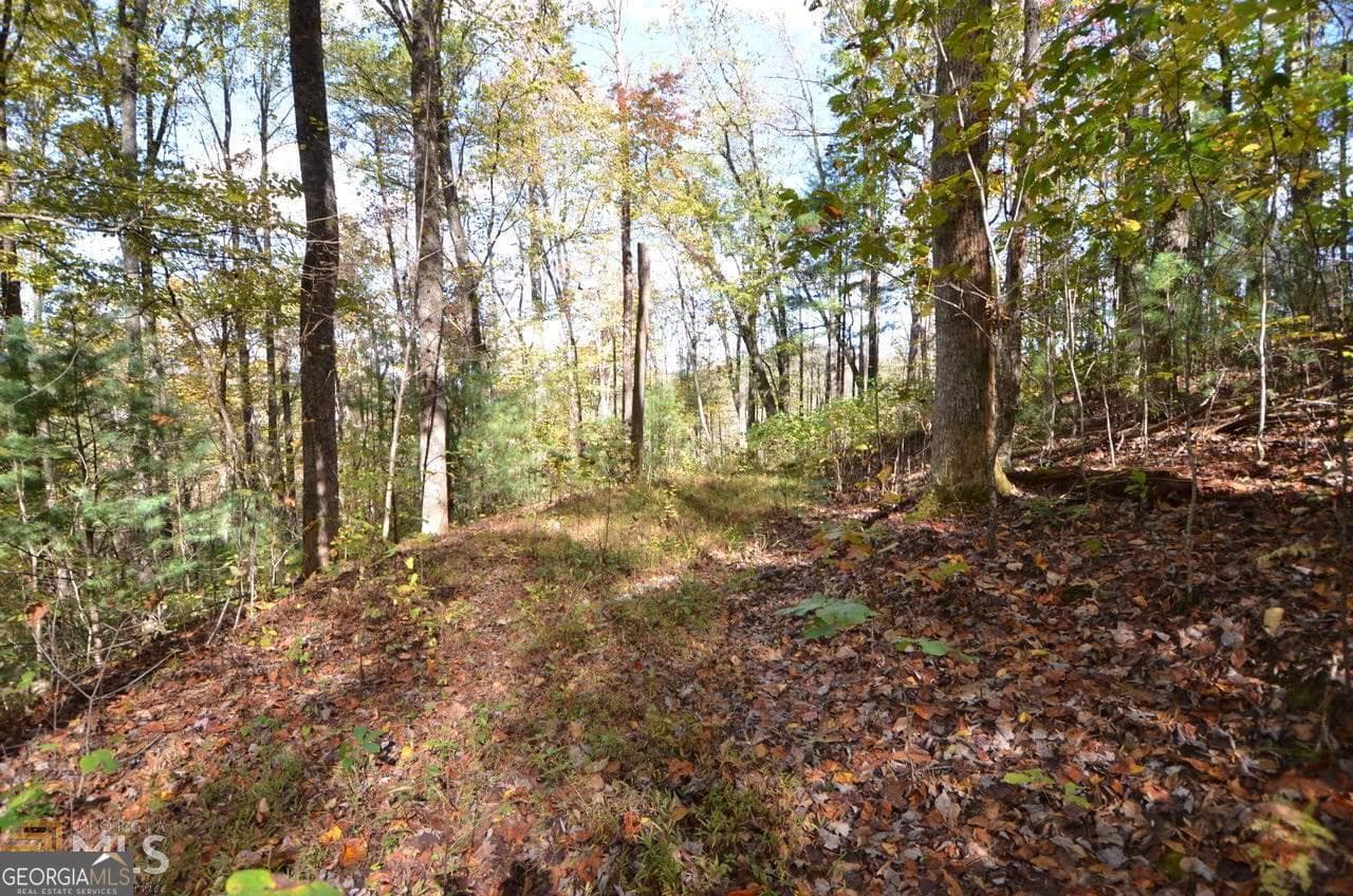 unimproved land for sale at 0 Alto Lane, Rabun Gap, GA 30568 — photo 7