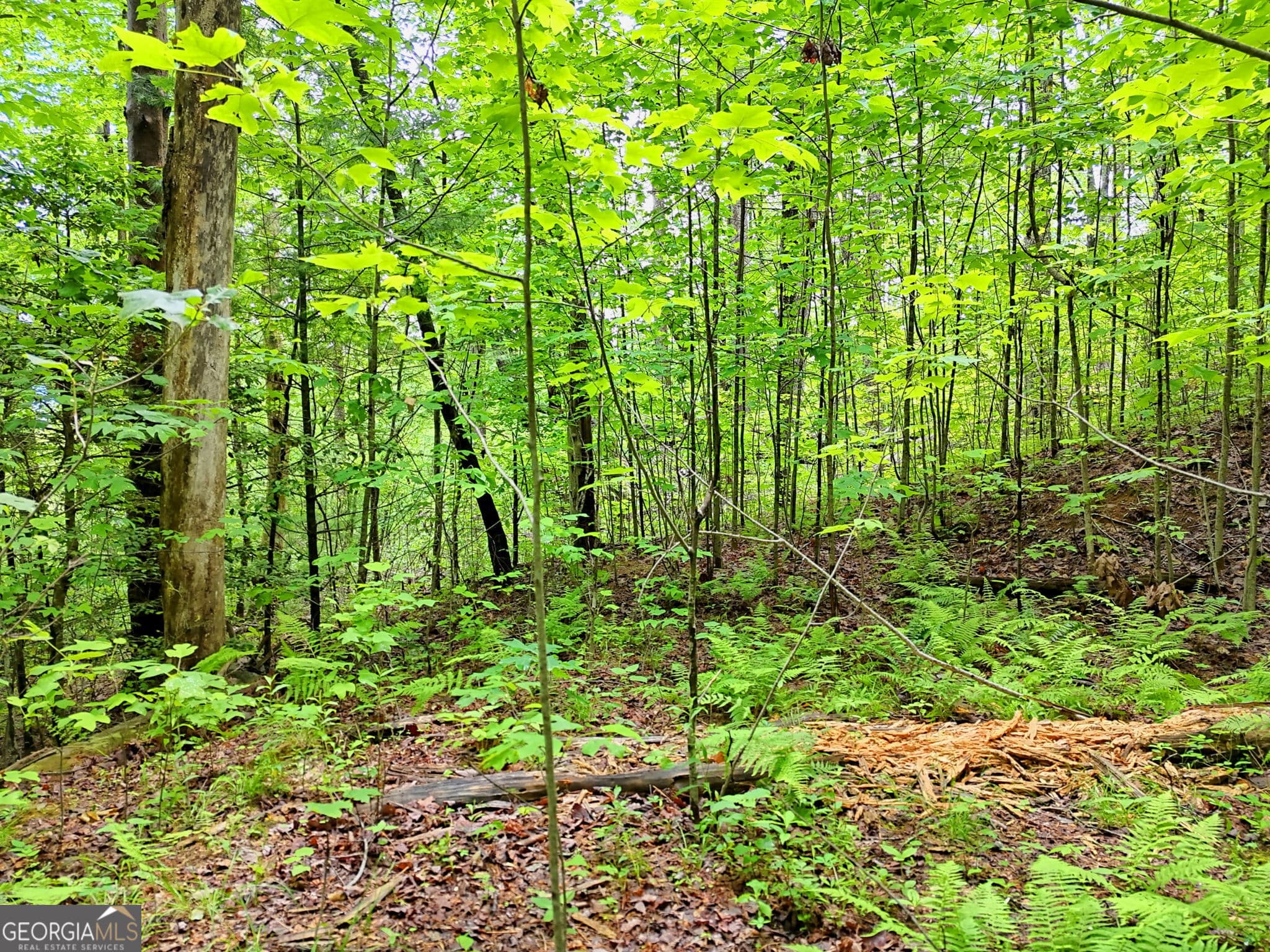 unimproved land for sale at 0 Alto Lane, Rabun Gap, GA 30568 — photo 1 of 7