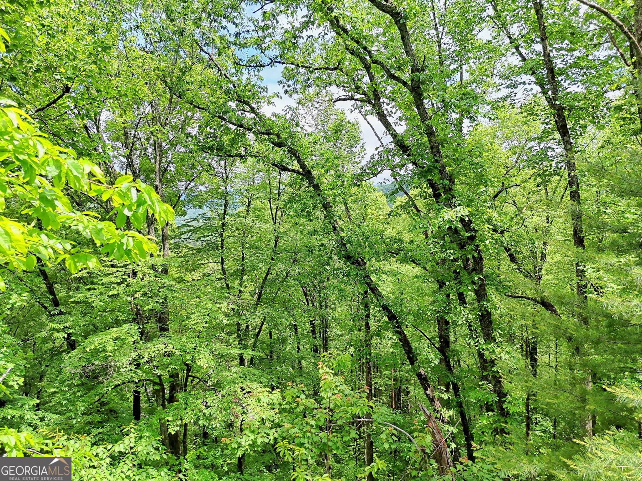 unimproved land for sale at 0 Alto Lane, Rabun Gap, GA 30568 — photo 5