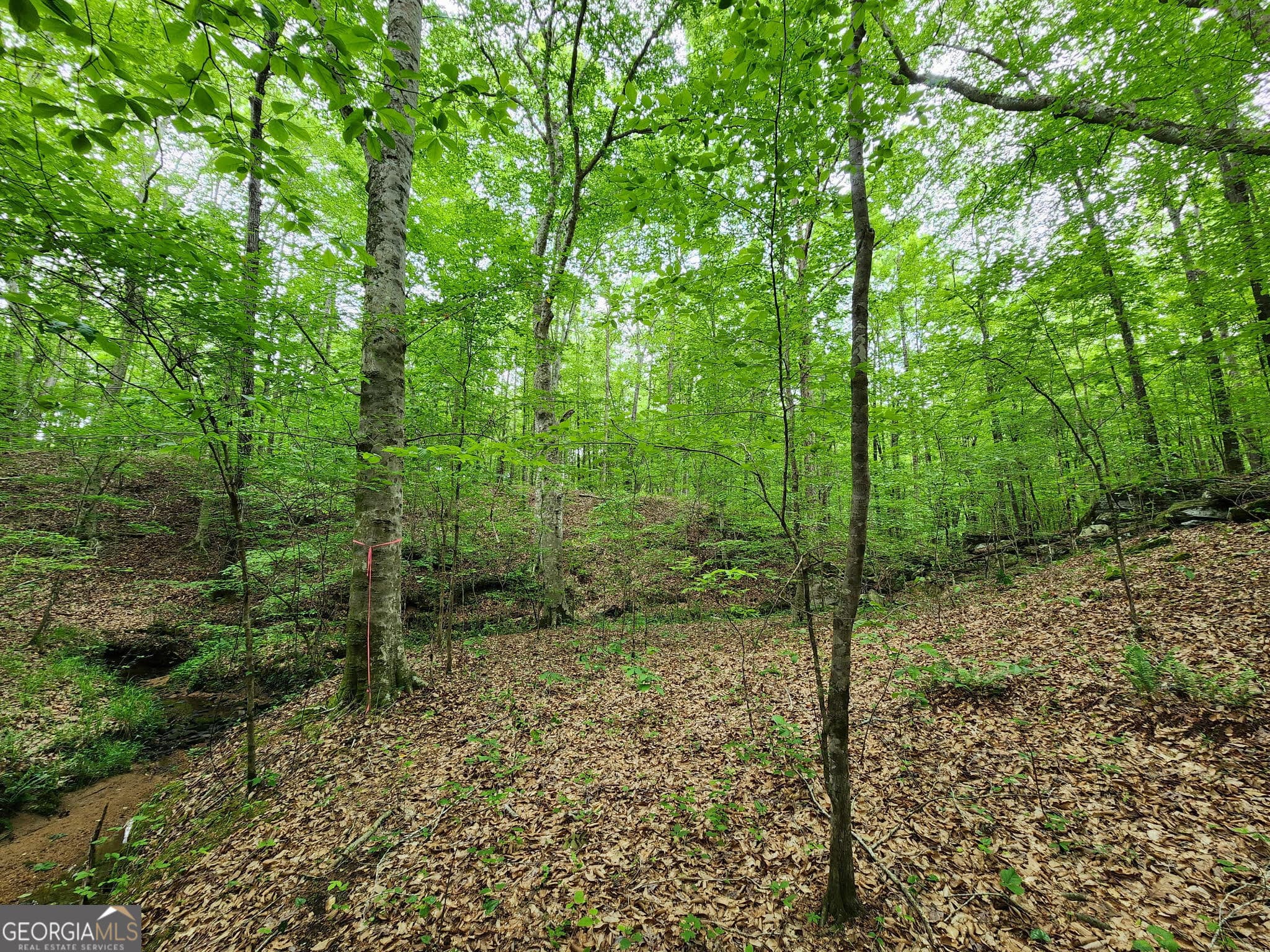 unimproved land for sale at 0 GA 85 Highway, Waverly Hall, GA 31831 — photo 2