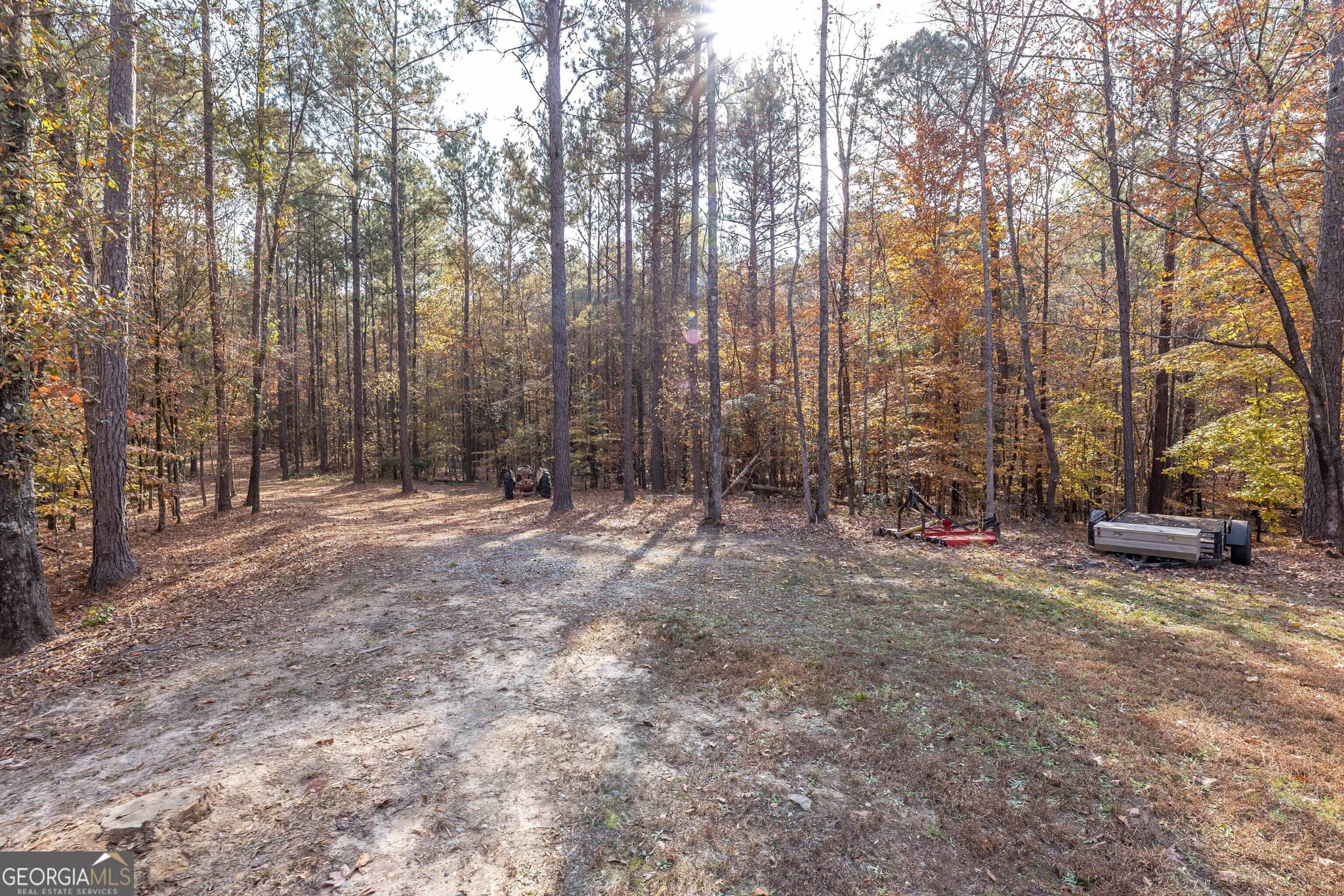 unimproved land for sale at 0 GA 85 Highway, Waverly Hall, GA 31831 — photo 6