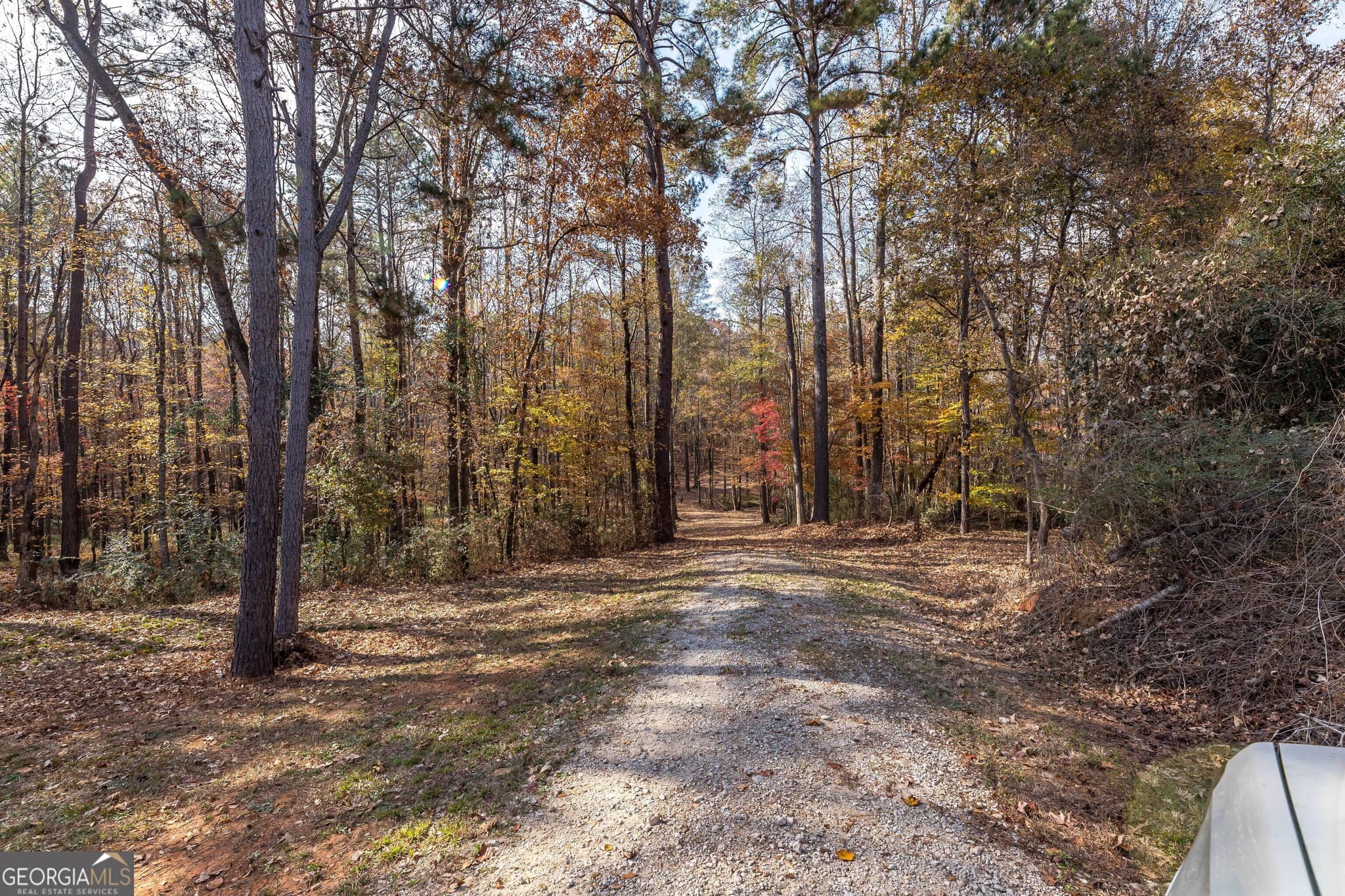 unimproved land for sale at 0 GA 85 Highway, Waverly Hall, GA 31831 — photo 7