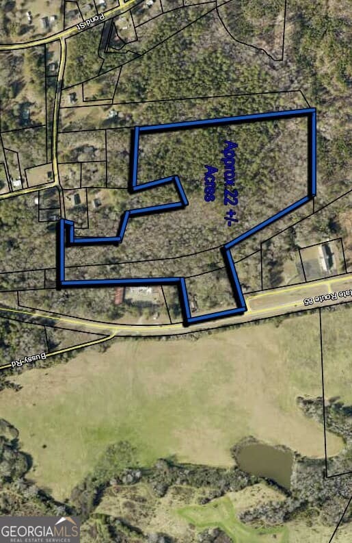 unimproved land for sale at 0 GA 85 Highway, Waverly Hall, GA 31831 — photo 3