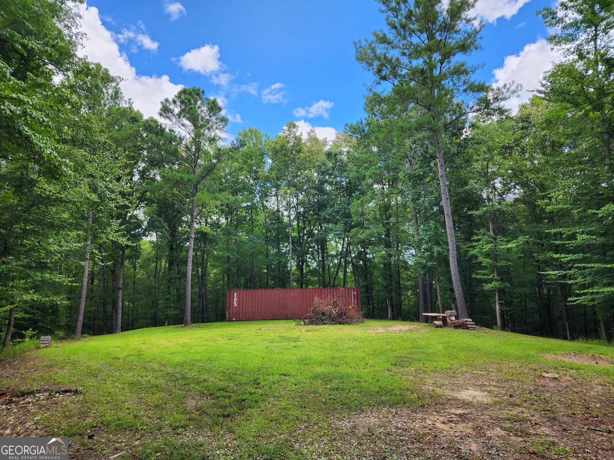 unimproved land for sale at 0 GA 85 Highway, Waverly Hall, GA 31831 — photo 1 of 17