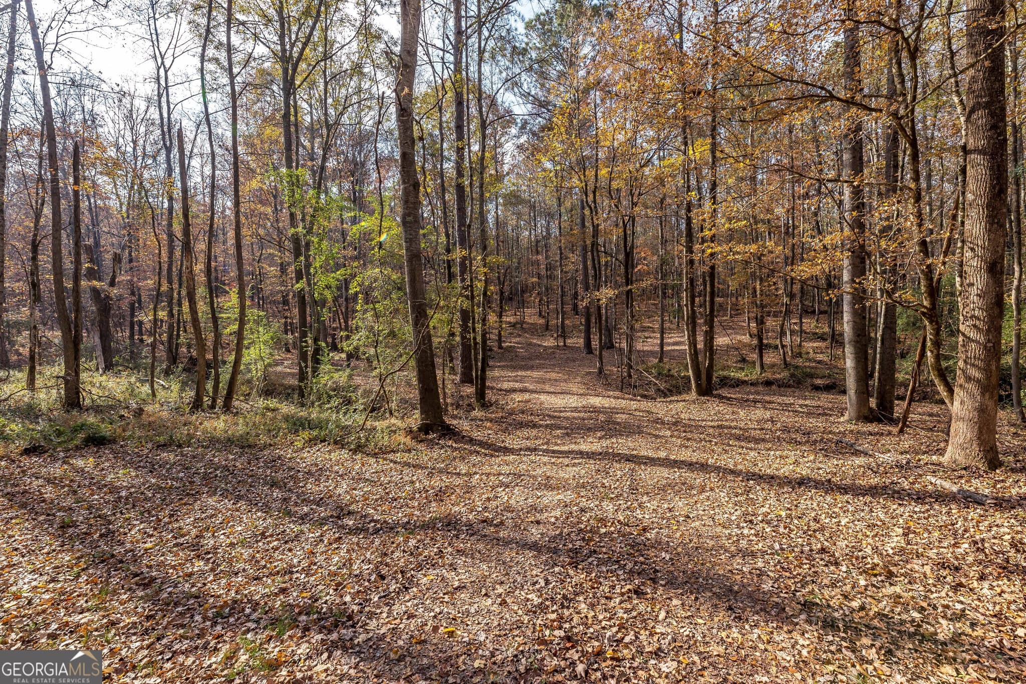 unimproved land for sale at 0 GA 85 Highway, Waverly Hall, GA 31831 — photo 5