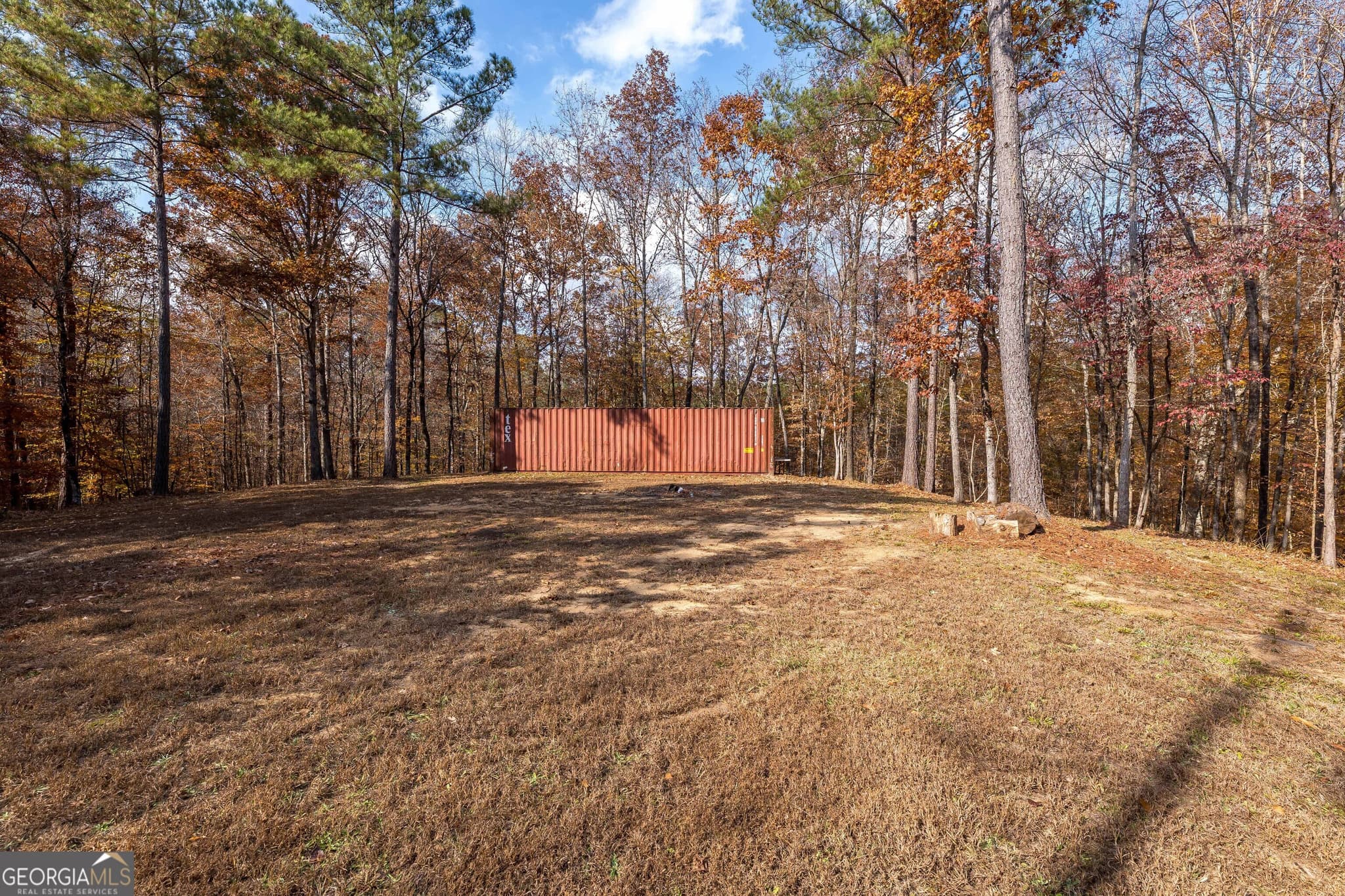unimproved land for sale at 0 GA 85 Highway, Waverly Hall, GA 31831 — photo 9