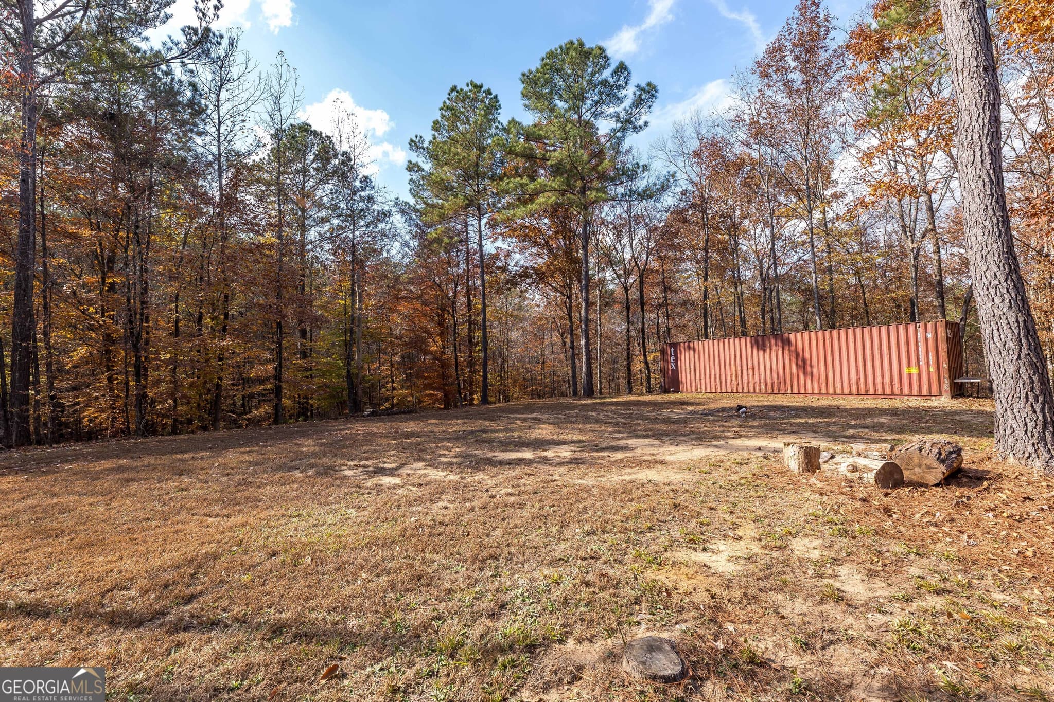 unimproved land for sale at 0 GA 85 Highway, Waverly Hall, GA 31831 — photo 10