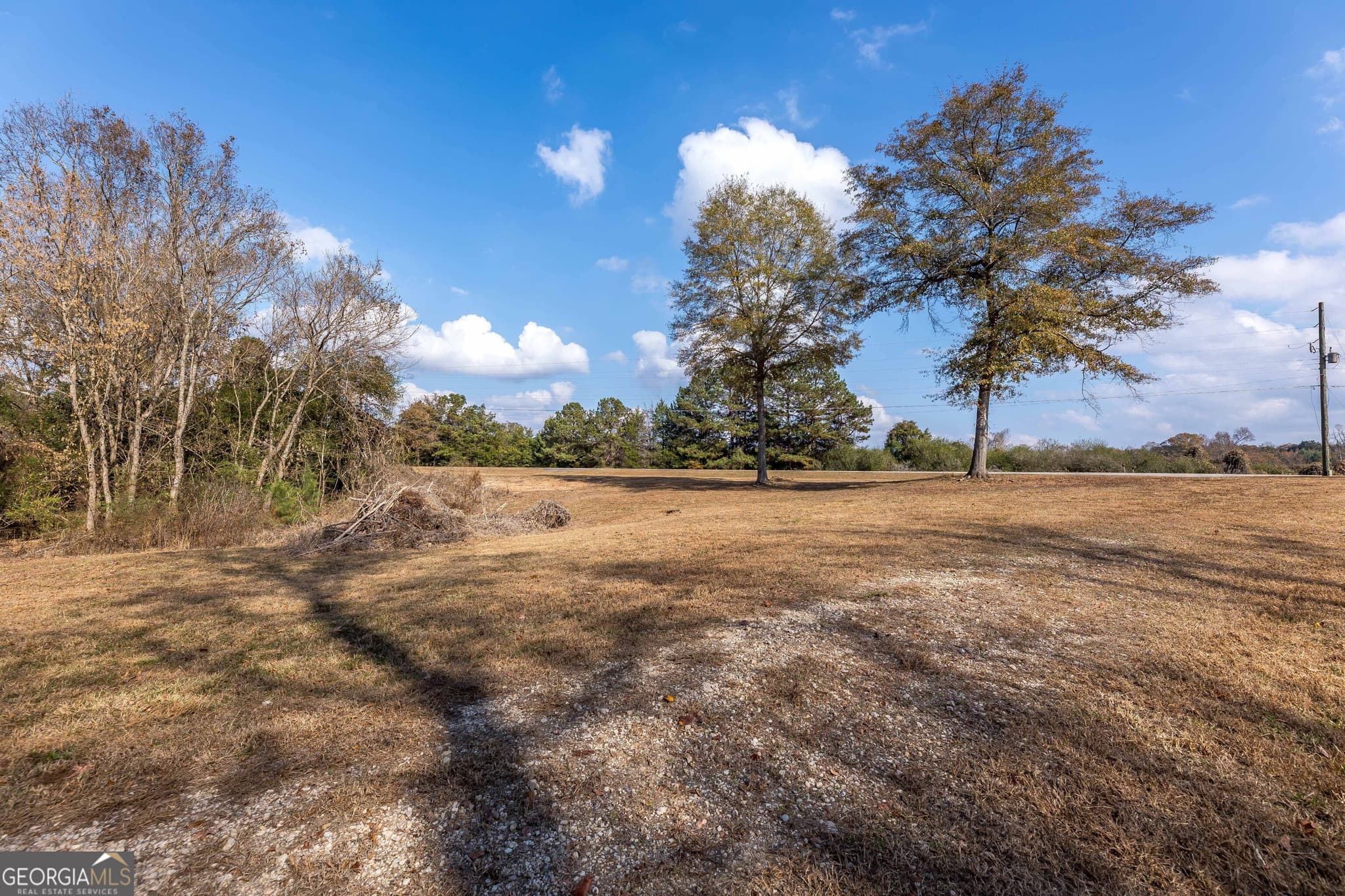 unimproved land for sale at 0 GA 85 Highway, Waverly Hall, GA 31831 — photo 4
