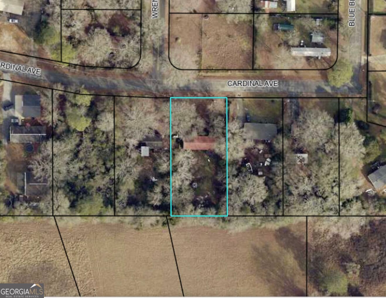 residential lot for sale at 112 Cardinal Avenue, Perry, GA 31069 — photo 2