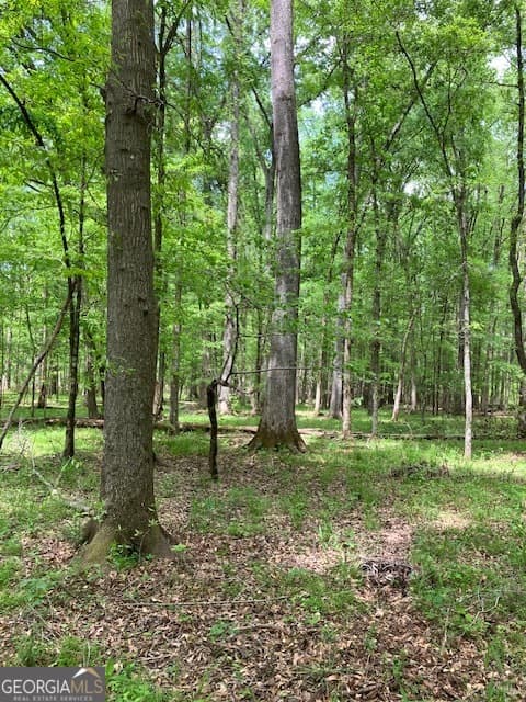 agriculture for sale at 310 Philomath Woodville Road, Rayle, GA 30660 — photo 2