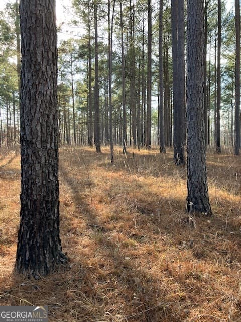 agriculture for sale at 310 Philomath Woodville Road, Rayle, GA 30660 — photo 6