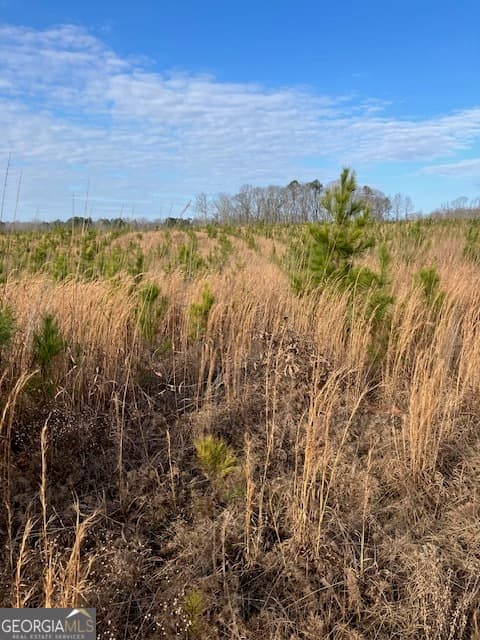 agriculture for sale at 310 Philomath Woodville Road, Rayle, GA 30660 — photo 3