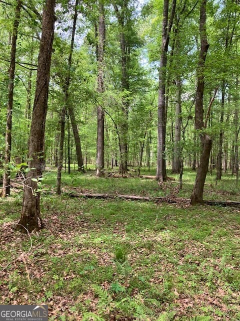 agriculture for sale at 310 Philomath Woodville Road, Rayle, GA 30660