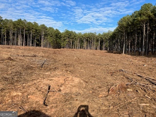 agriculture for sale at 310 Philomath Woodville Road, Rayle, GA 30660 — photo 5