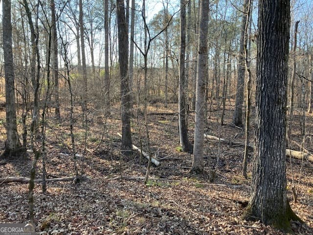 agriculture for sale at 310 Philomath Woodville Road, Rayle, GA 30660 — photo 10