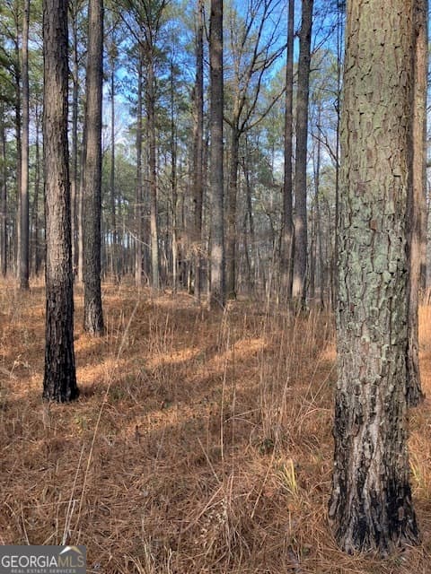agriculture for sale at 310 Philomath Woodville Road, Rayle, GA 30660 — photo 4