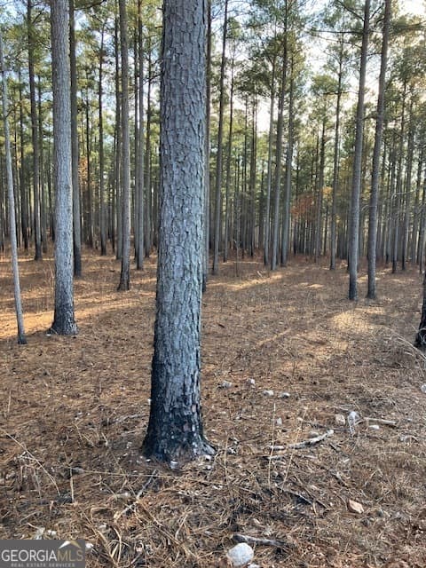 agriculture for sale at 310 Philomath Woodville Road, Rayle, GA 30660 — photo 8