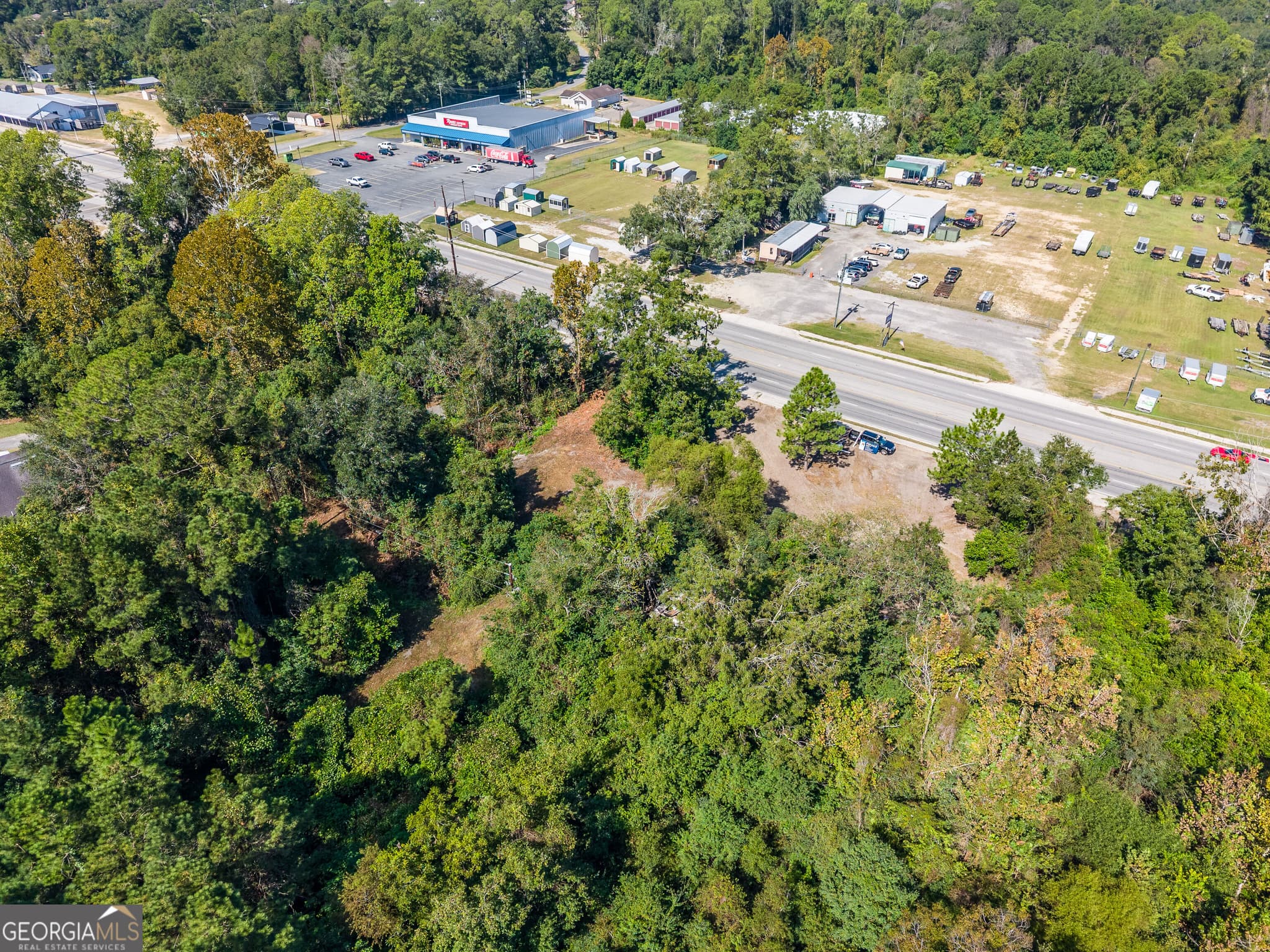 unimproved land for sale at 0 Highway 84, Blackshear, GA 31516 — photo 2