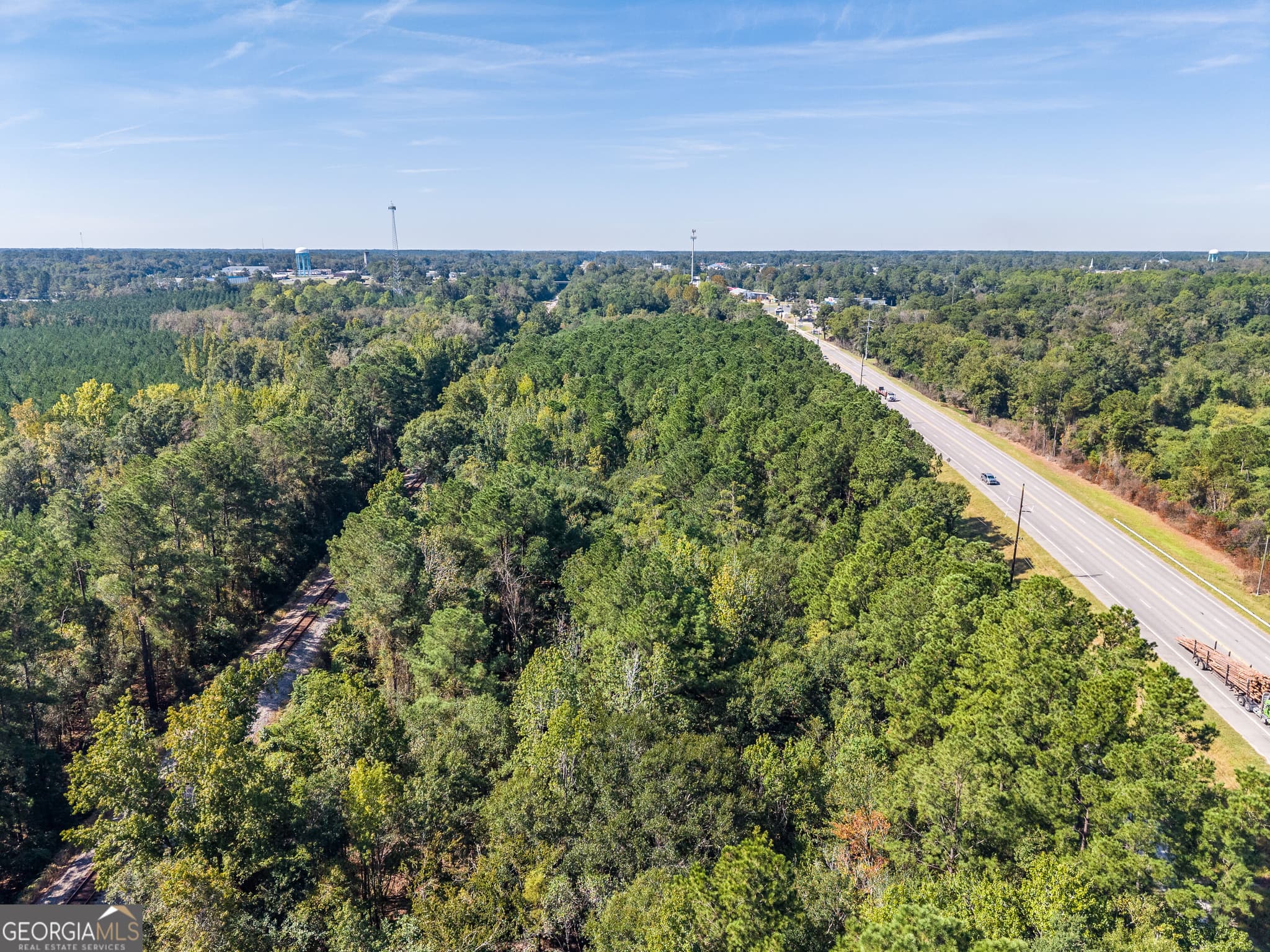 unimproved land for sale at 0 Highway 84, Blackshear, GA 31516 — photo 3