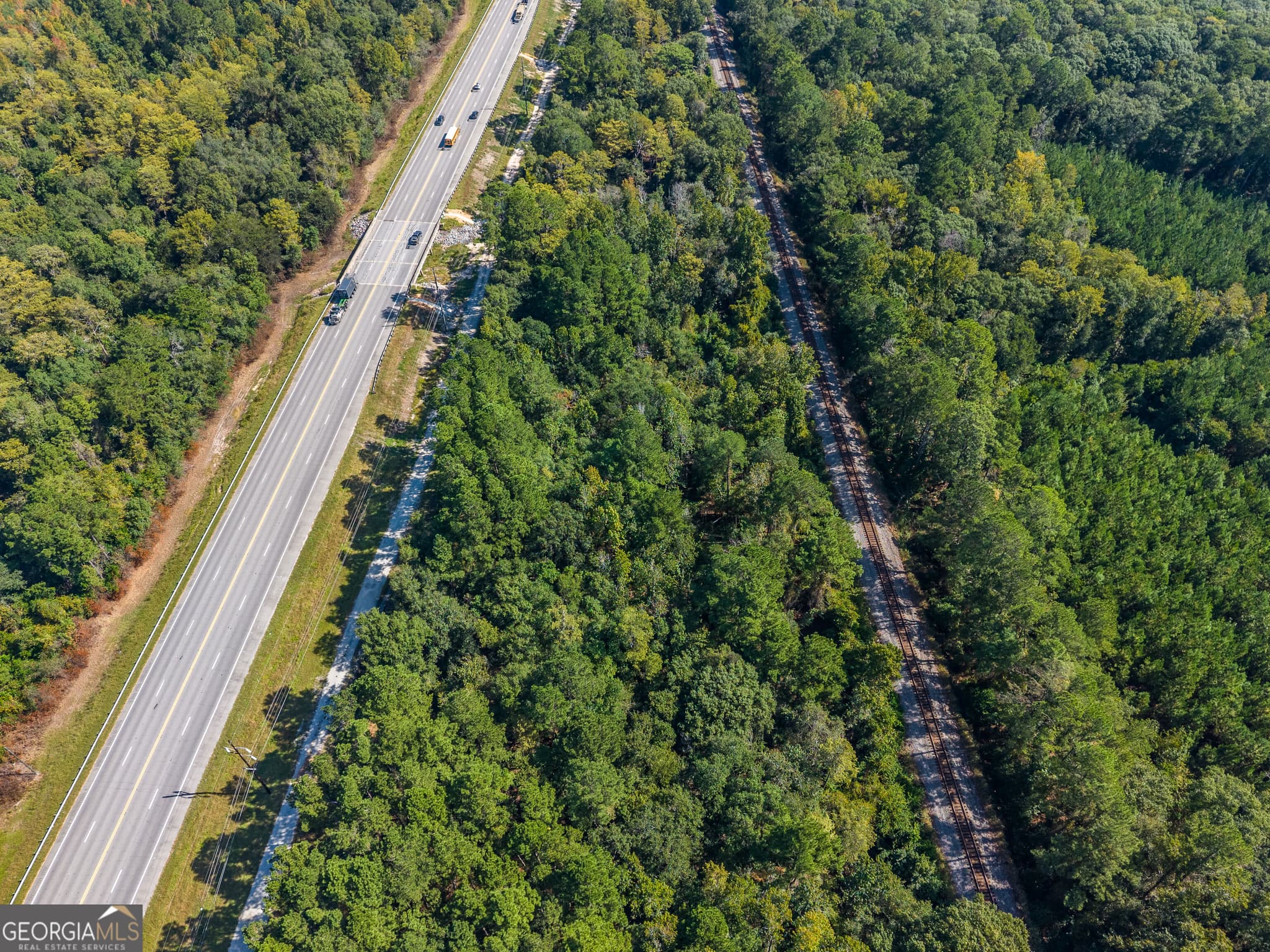 unimproved land for sale at 0 Highway 84, Blackshear, GA 31516 — photo 5