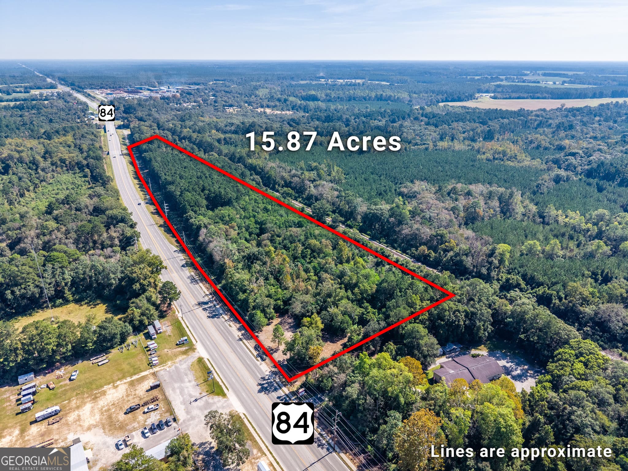 unimproved land for sale at 0 Highway 84, Blackshear, GA 31516 — photo 9