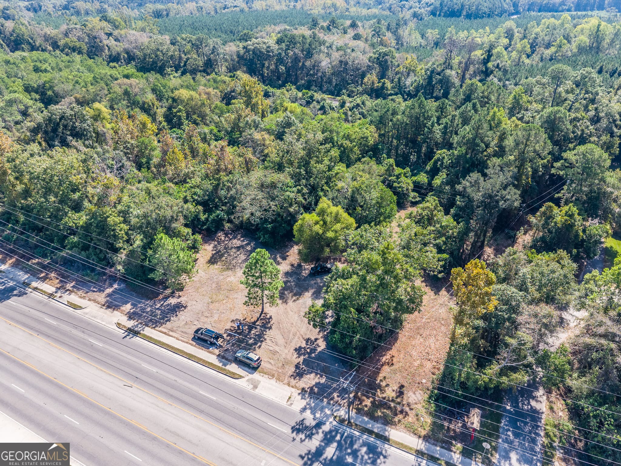 unimproved land for sale at 0 Highway 84, Blackshear, GA 31516 — photo 4