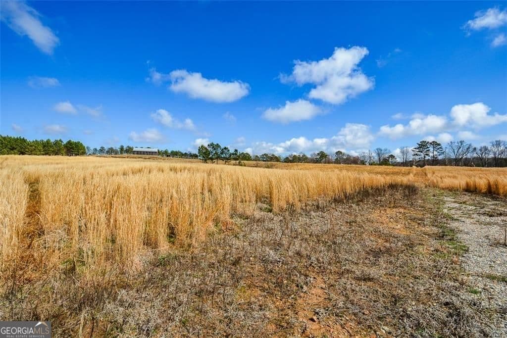 residential lot for sale at 119 Inland Drive 15 ACRES, Talking Rock, GA 30175 — photo 7