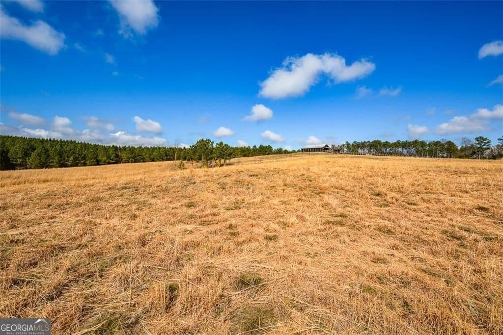 residential lot for sale at 119 Inland Drive 15 ACRES, Talking Rock, GA 30175 — photo 1 of 11