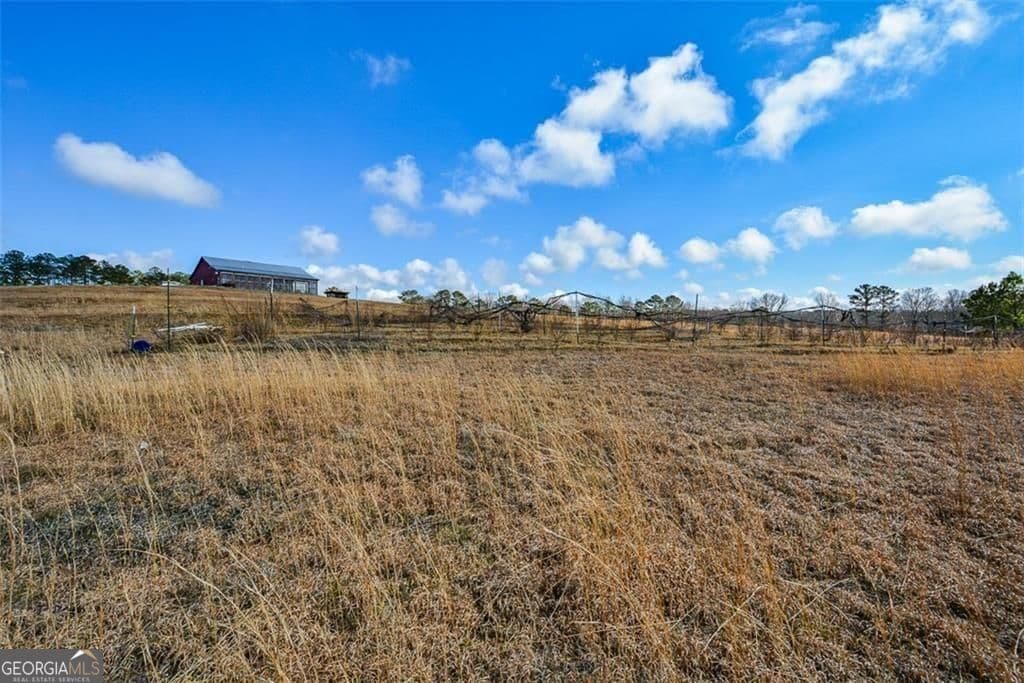 residential lot for sale at 119 Inland Drive 15 ACRES, Talking Rock, GA 30175 — photo 9