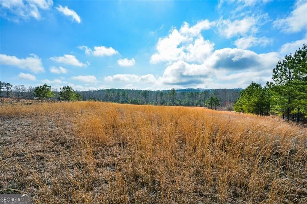 residential lot for sale at 119 Inland Drive 15 ACRES, Talking Rock, GA 30175 — photo 10