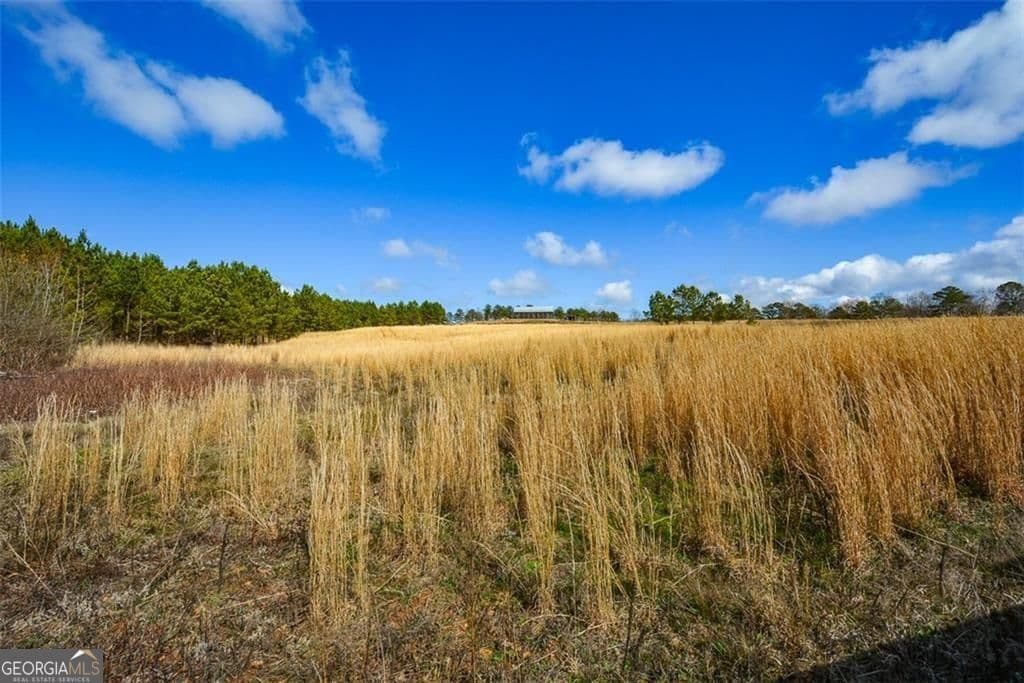 residential lot for sale at 119 Inland Drive 15 ACRES, Talking Rock, GA 30175 — photo 8