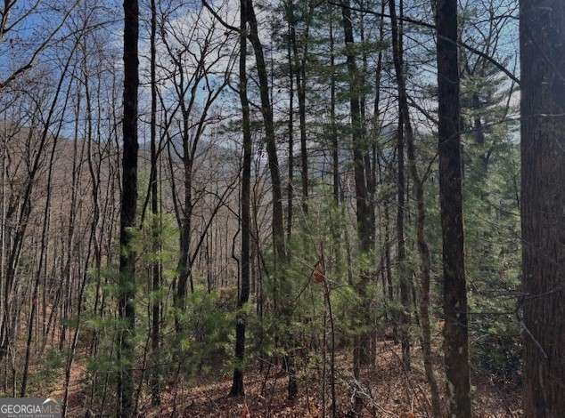 3 bedroom, 2.5 bathroom, 2,484 sq ft cabin,single family residence under contract at 0 Evergreen Lane, Sky Valley, GA 30537 — photo 6