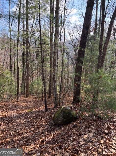 3 bedroom, 2.5 bathroom, 2,484 sq ft cabin,single family residence under contract at 0 Evergreen Lane, Sky Valley, GA 30537 — photo 5