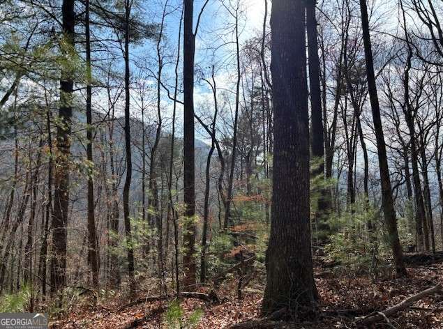 3 bedroom, 2.5 bathroom, 2,484 sq ft cabin,single family residence under contract at 0 Evergreen Lane, Sky Valley, GA 30537 — photo 8