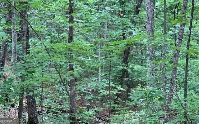 residential lot for sale at LOT 18 Bruce Mountain, Blairsville, GA 30512 — photo 6