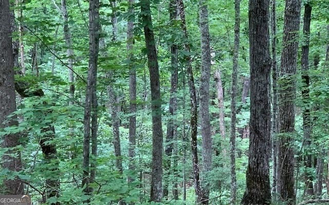 residential lot for sale at LOT 18 Bruce Mountain, Blairsville, GA 30512 — photo 7