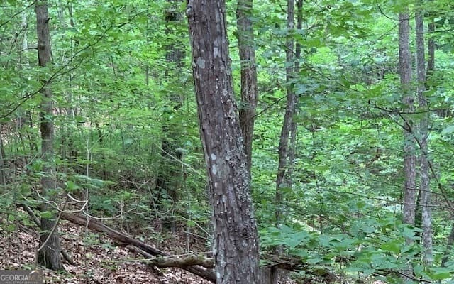 residential lot for sale at LOT 18 Bruce Mountain, Blairsville, GA 30512 — photo 1 of 18