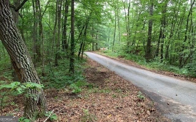 residential lot for sale at LOT 18 Bruce Mountain, Blairsville, GA 30512 — photo 5